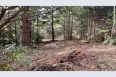 0 East Bay Rd, North Bend, OR 97459 - Photo 21