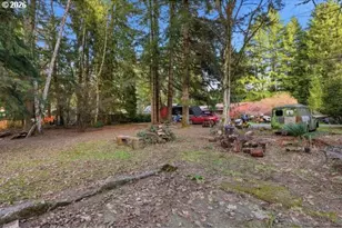 1250 Yale Bridge Rd, Amboy, WA 98601 - Photo 11