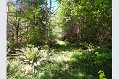 Hockett Rd, Onalaska, WA 98570 - Photo 25