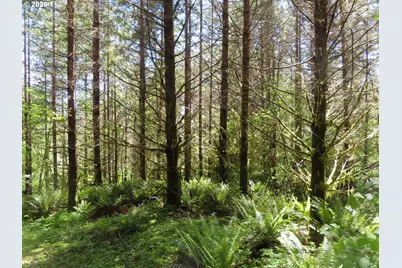 Hockett Rd, Onalaska, WA 98570 - Photo 5