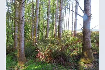 Hockett Rd, Onalaska, WA 98570 - Photo 11