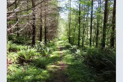 Hockett Rd, Onalaska, WA 98570 - Photo 3