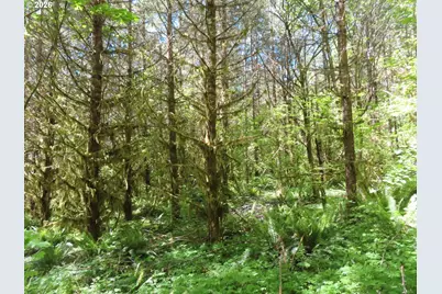 Hockett Rd, Onalaska, WA 98570 - Photo 15