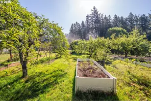 1575 N Henry St, Coquille, OR 97423 - Photo 47