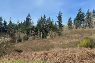 0 NE Jenny Creek Rd, La Center, WA 98629 - Photo 1