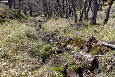 60 Hartwig Rd, Lyle, WA 98635 - Photo 45