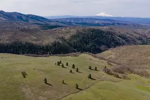 60 Hartwig Rd, Lyle, WA 98635 - Photo 1