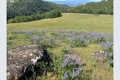 60 Hartwig Rd, Lyle, WA 98635 - Photo 3