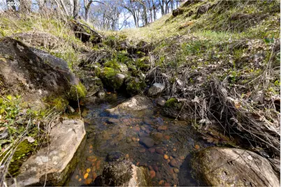 60 Hartwig Rd, Lyle, WA 98635 - Photo 47