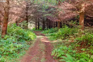 9602 Harlan Rd, Eddyville, OR 97343 - Photo 43