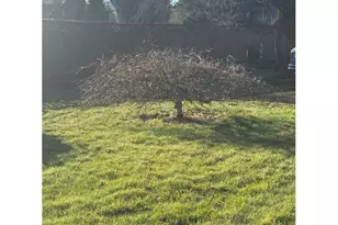 18205 NW Reeder Rd, Portland, OR 97231 - Photo 29