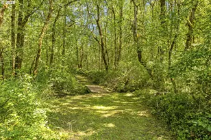 29311 NE 124th Ave, Battle Ground, WA 98604 - Photo 39