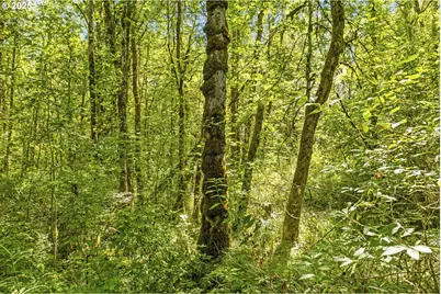 29311 NE 124th Ave, Battle Ground, WA 98604 - Photo 41