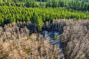 142 Wild Daisy Dr, Ariel, WA 98603 - Photo 27