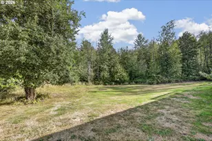 381 Studebaker Spur 2, Castle Rock, WA 98611 - Photo 31