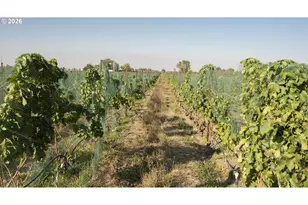 52201 County Rd, Milton-Freewater, OR 97862 - Photo 5