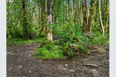 64601 E Brightwood Loop Rd, Brightwood, OR 97011 - Photo 41