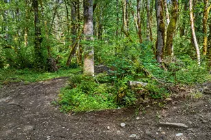 64601 E Brightwood Loop Rd, Brightwood, OR 97011 - Photo 41