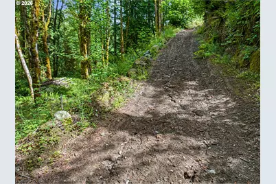 64601 E Brightwood Loop Rd, Brightwood, OR 97011 - Photo 43
