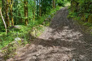 64601 E Brightwood Loop Rd, Brightwood, OR 97011 - Photo 43