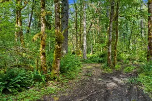 64601 E Brightwood Loop Rd, Brightwood, OR 97011 - Photo 39
