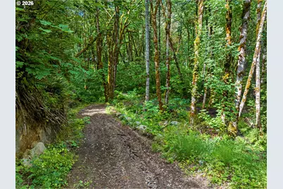 64601 E Brightwood Loop Rd, Brightwood, OR 97011 - Photo 43