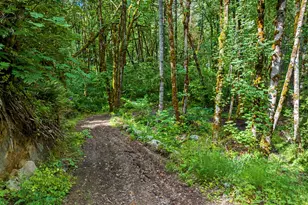 64601 E Brightwood Loop Rd, Brightwood, OR 97011 - Photo 43