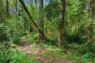 64601 E Brightwood Loop Rd, Brightwood, OR 97011 - Photo 35