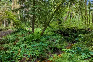 64601 E Brightwood Loop Rd, Brightwood, OR 97011 - Photo 35