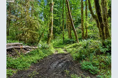 64601 E Brightwood Loop Rd, Brightwood, OR 97011 - Photo 41