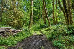 64601 E Brightwood Loop Rd, Brightwood, OR 97011 - Photo 41
