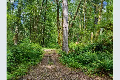 64601 E Brightwood Loop Rd, Brightwood, OR 97011 - Photo 39