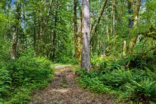 64601 E Brightwood Loop Rd, Brightwood, OR 97011 - Photo 39