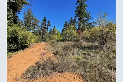 Landess, Cottage Grove, OR 97424 - Photo 13