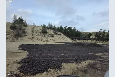 0 Sherry Barbie Ln, Lakeside, OR 97449 - Photo 11