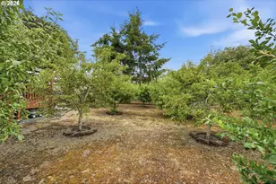 247 1st Ave, Coos Bay, OR 97420 - Photo 39