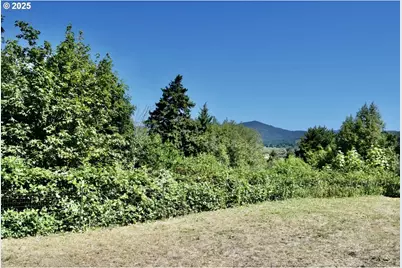 30312 Hummingbird Hill Rd, Gold Beach, OR 97444 - Photo 19