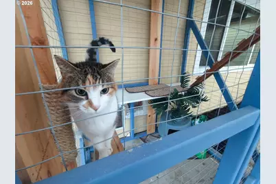 13414 NW Indian Spring Dr, Vancouver, WA 98685 - Photo 29