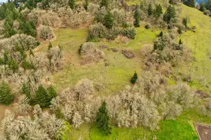 93313 Westpoint Rd, Harrisburg, OR 97446 - Photo 23