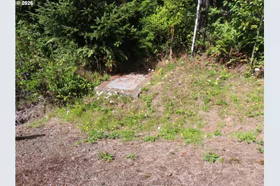 State Route 101, South Bend, WA 98586 - Photo 29