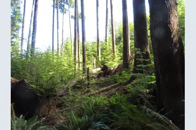 State Route 101, South Bend, WA 98586 - Photo 3