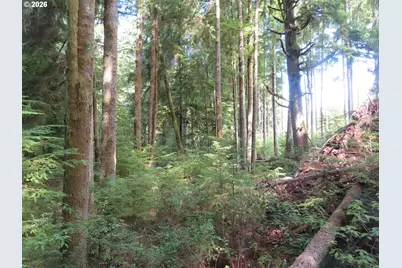 State Route 101, South Bend, WA 98586 - Photo 13