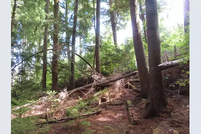 State Route 101, South Bend, WA 98586 - Photo 27