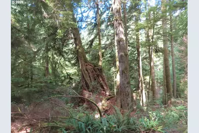 State Route 101, South Bend, WA 98586 - Photo 15