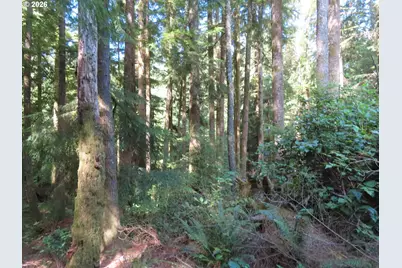 State Route 101, South Bend, WA 98586 - Photo 11