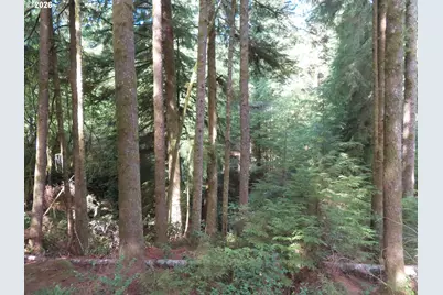 State Route 101, South Bend, WA 98586 - Photo 5