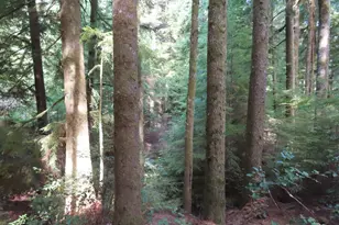 State Route 101, South Bend, WA 98586 - Photo 1