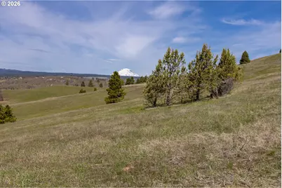 60 Hartwig Rd, Lyle, WA 98635 - Photo 29