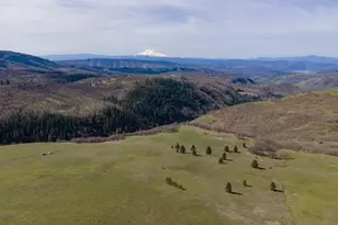 60 Hartwig Rd, Lyle, WA 98635 - Photo 1