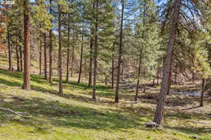 36 Wooded Ln, Goldendale, WA 98620 - Photo 21